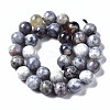 Natural Iolite Beads Strands G-N328-50D-01-2