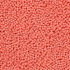 11/0 Grade A Baking Paint Glass Seed Beads X-SEED-N001-A-1005-2