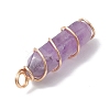 Natural Amethyst Double Terminal Pointed Pendants PALLOY-JF02672-01-4