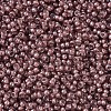 MIYUKI Round Rocailles Beads SEED-G007-RR0364-3