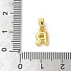 Rack Plating Brass Charms KK-C053-04G-R-3