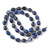 Dyed Natural Lapis Lazuli Beads Strands G-F809-A35-01-3