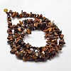 Natural Yellow Tiger Eye Chip Bead Strands X-G-L444-01-2