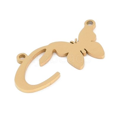 304 Stainless Steel Pendants STAS-L279-002G-C-1