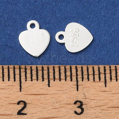 925 Sterling Silver Chain Extender Drop STER-G040-02B-1