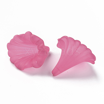 Transparent Acrylic Beads BSF796-C16-1