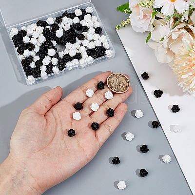 160Pcs 2 Colors Opaque Resin Beads CRES-PH0001-23-1