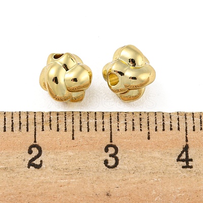 Alloy Beads PALLOY-K020-03G-1