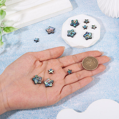 12Pcs 2 Styles Natural Abalone Shell/Paua Shell Beads SHEL-TA0001-40-1