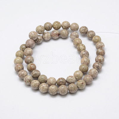 Natural Fossil Coral Beads Strands X-G-P325-01-8mm-1