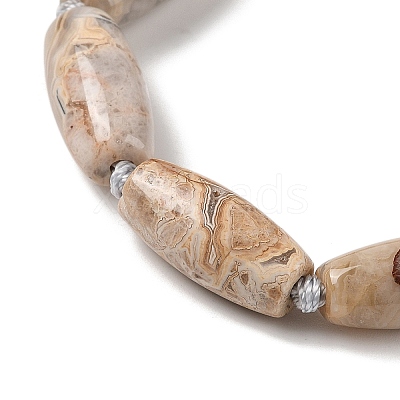 Natural Mexican Lace Agate Beads Strands G-NH0010-I03-01-1