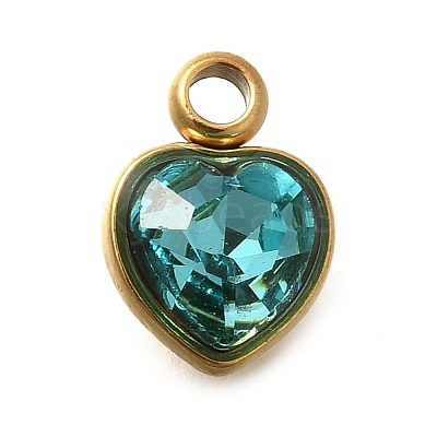 304 Stainless Steel with Rhinestone Pendants STAS-Q346-01G-03-1