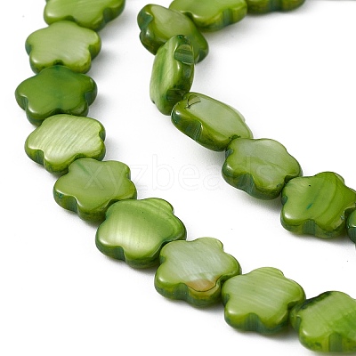 Natural Freshwater Shell Dyed Beads Strands SHEL-K001-001G-1
