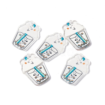 Transparent Printed Acrylic Pendants TACR-G042-01B-1