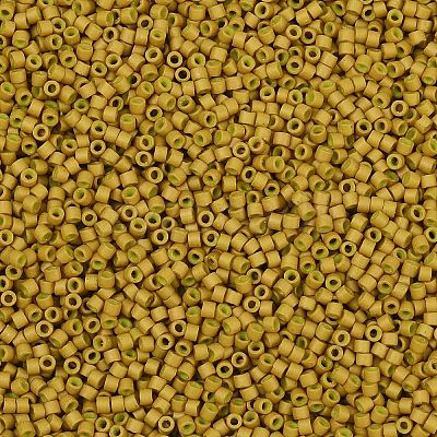 MIYUKI Delica Beads X-SEED-J020-DB0665-1
