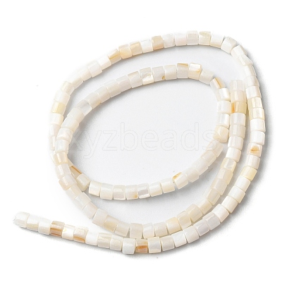 Natural Freshwater Shell Beads Strands SHEL-K006-07-1