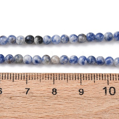 Natural Blue Spot Jasper Beads Strands G-Z116-A02-3mm-1