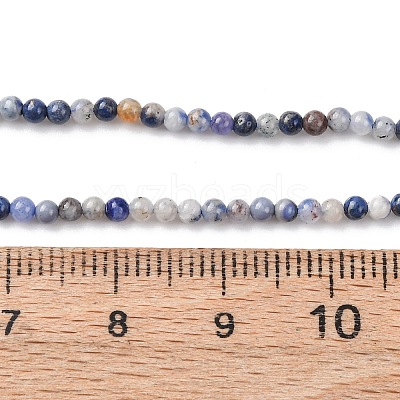 Natural Blue Spot Jasper Beads Strands G-Z116-A02-2mm-1