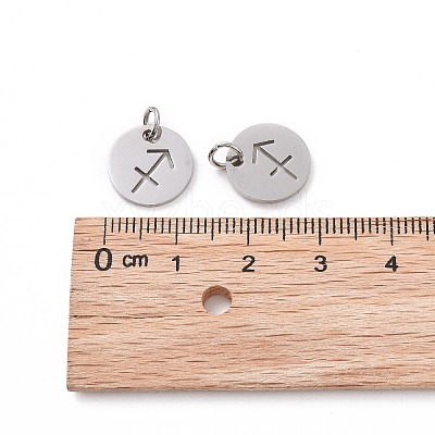 Non-Tarnish 304 Stainless Steel Charms STAS-Q201-T445-9S-1
