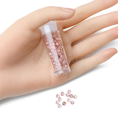 6/0 Transparent Glass Seed Beads SEED-YW0002-11C-1