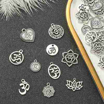 100Pcs 10 Styles Tibetan Style Alloy Pendants TIBEP-CJ0002-33-1
