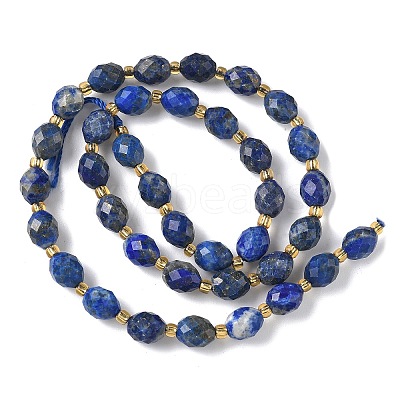 Dyed Natural Lapis Lazuli Beads Strands G-F809-A35-01-1