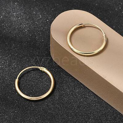 Brass Hoop Earrings EJEW-G474-01G-02-1