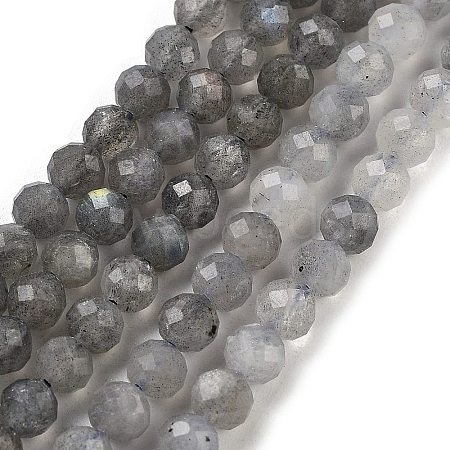 Natural Labradorite Beads Strands G-G140-A21-09-1