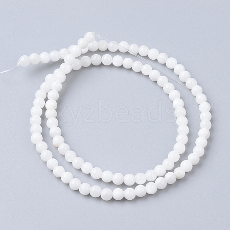 Natural Freshwater Shell Bead Strands X-SHEL-S249-29-1