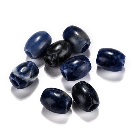 Natural Sodalite European Beads G-F580-A07-1