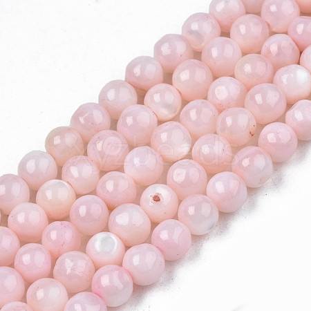 Natural Freshwater Shell Beads Strands SHEL-N003-24-B09-1