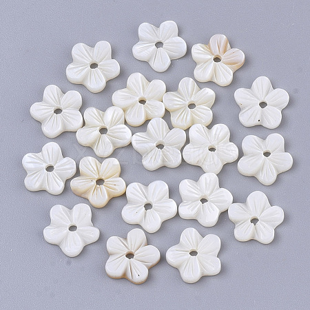 Natural Freshwater Shell Beads SHEL-T017-04-1