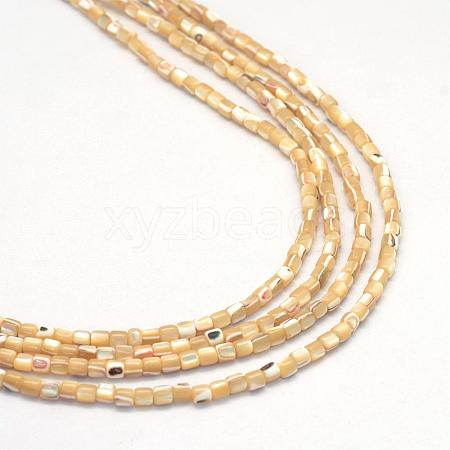 Natural Trochid Shell/Trochus Shell Bead Strands SSHEL-R037-23-1