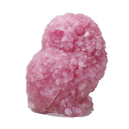 Resin Owl Display Decoration PW-WG10820-01-1