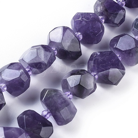 Natural Amethyst Beads Strands G-F653-10-1