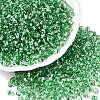 6/0 Baking Paint Transparent Fringe Glass Seed Beads X1-SEED-N006-06K-1