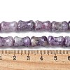 Natural Lepidolite/Purple Mica Stone Beads Strands G-M445-B02-01-5