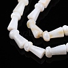 Natural Freshwater Shell Beads Strands SHEL-N026-213-4