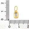 925 Sterling Silver Cubic Zirconia Charms STER-NH0014-01G-12-3