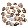 Natural Picture Jasper Beads G-N0326-008-1
