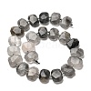 Natural Cloudy Quartz Beads Strands G-H078-B17-01-3