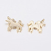 Long-Lasting Plated Brass Charms KK-F741-18G-2
