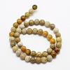 Natural Fossil Coral Beads Strands G-G735-51-8mm-2