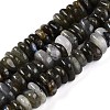 Natural Labradorite Beads Strands G-T141-09-1