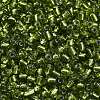 6/0 Glass Seed Beads SEED-A005-4mm-24-3