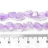 Natural Amethyst(Dyed & Heated) Beads Strands G-P497-01C-44-5