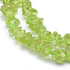 Natural Peridot Beads Strands G-P332-66-3