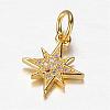 Brass Micro Pave Cubic Zirconia Charms ZIRC-K045-07G-1