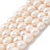 Natural Cultured Freshwater Pearl Beads Strands PEAR-I007-01E-01A-2