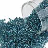 TOHO Round Seed Beads SEED-JPTR15-0274-1